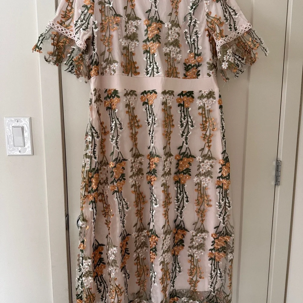 Embroidered Floral Midi Dress in Blush - Picture 2 of 7